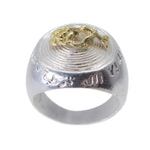 Anillo de la Fuente y la Rosa con el Colibrí